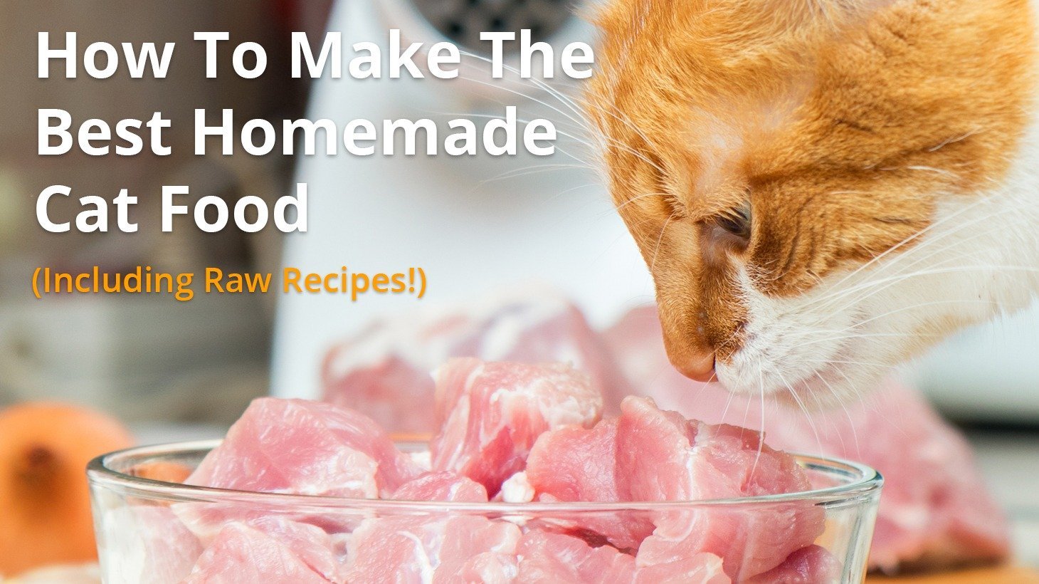homemade diet for cats