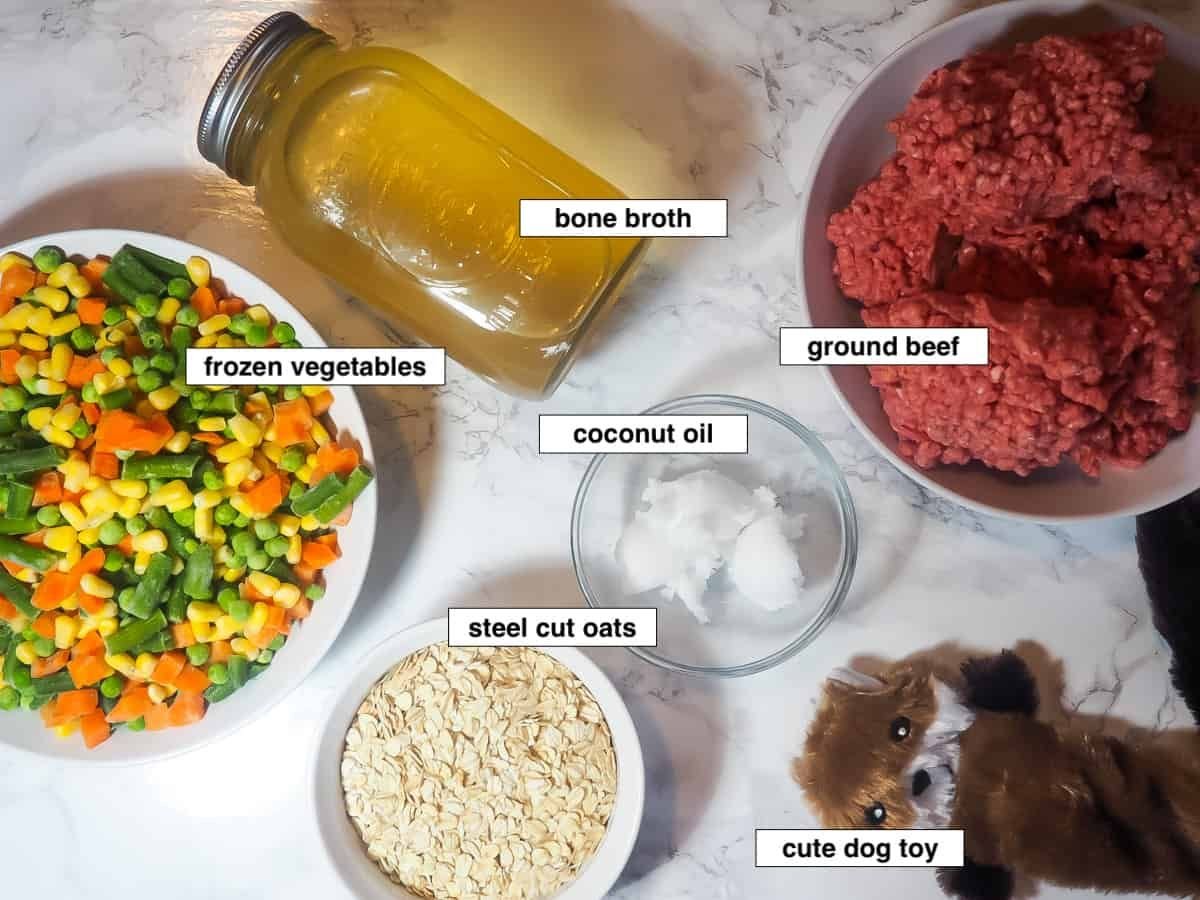 homemade dog food feeding chart