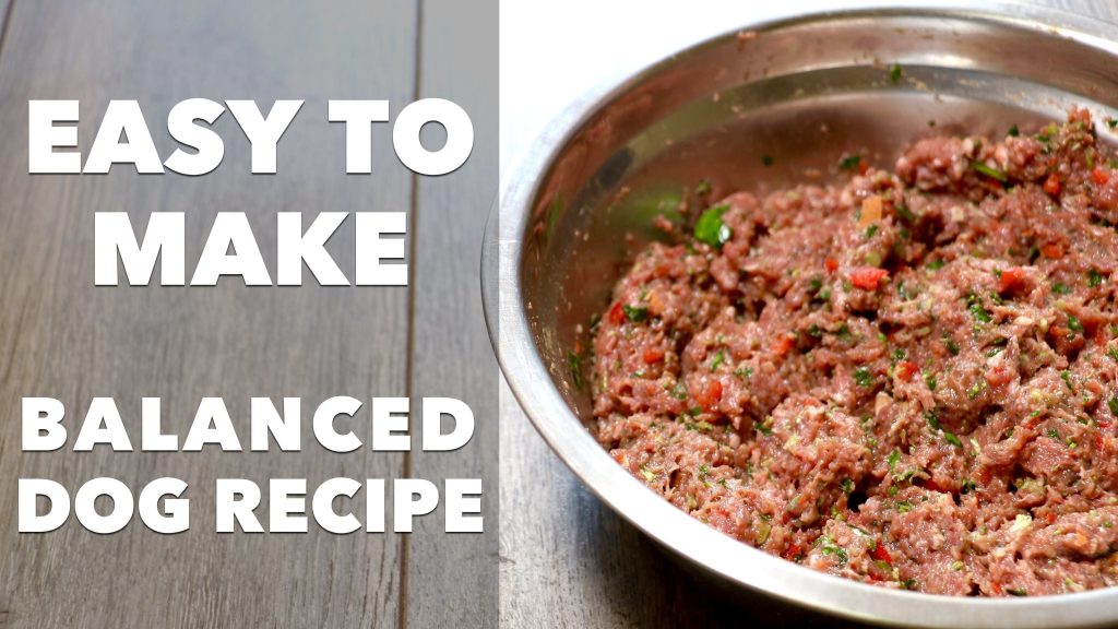 homemade-dog-food-for-congestive-heart-failure-a-guide-to-preparation