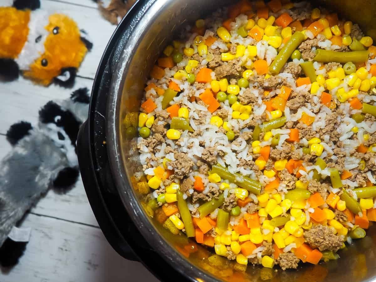 homemade dog food instant pot