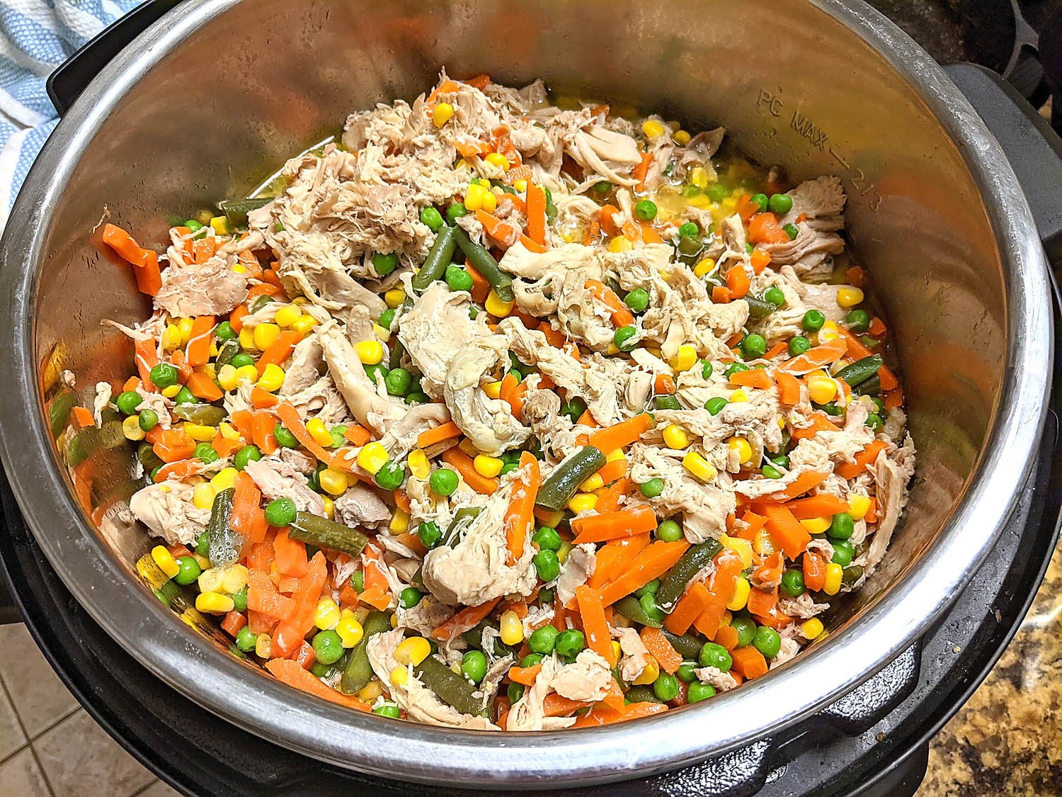 homemade dog food instant pot