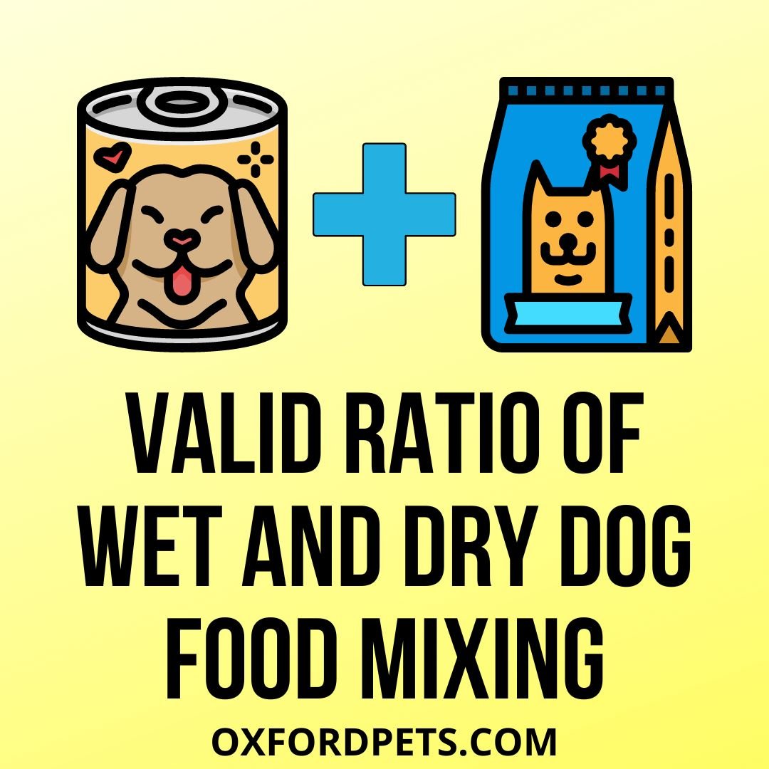 homemade dog food ratio calculator