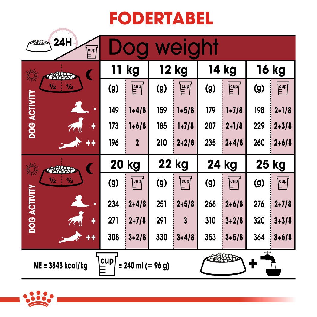 homemade dog food serving size chart