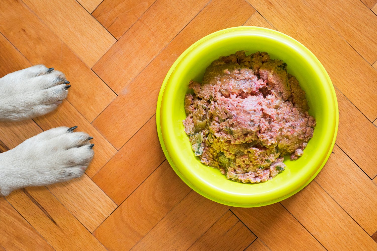 homemade dog food supplements