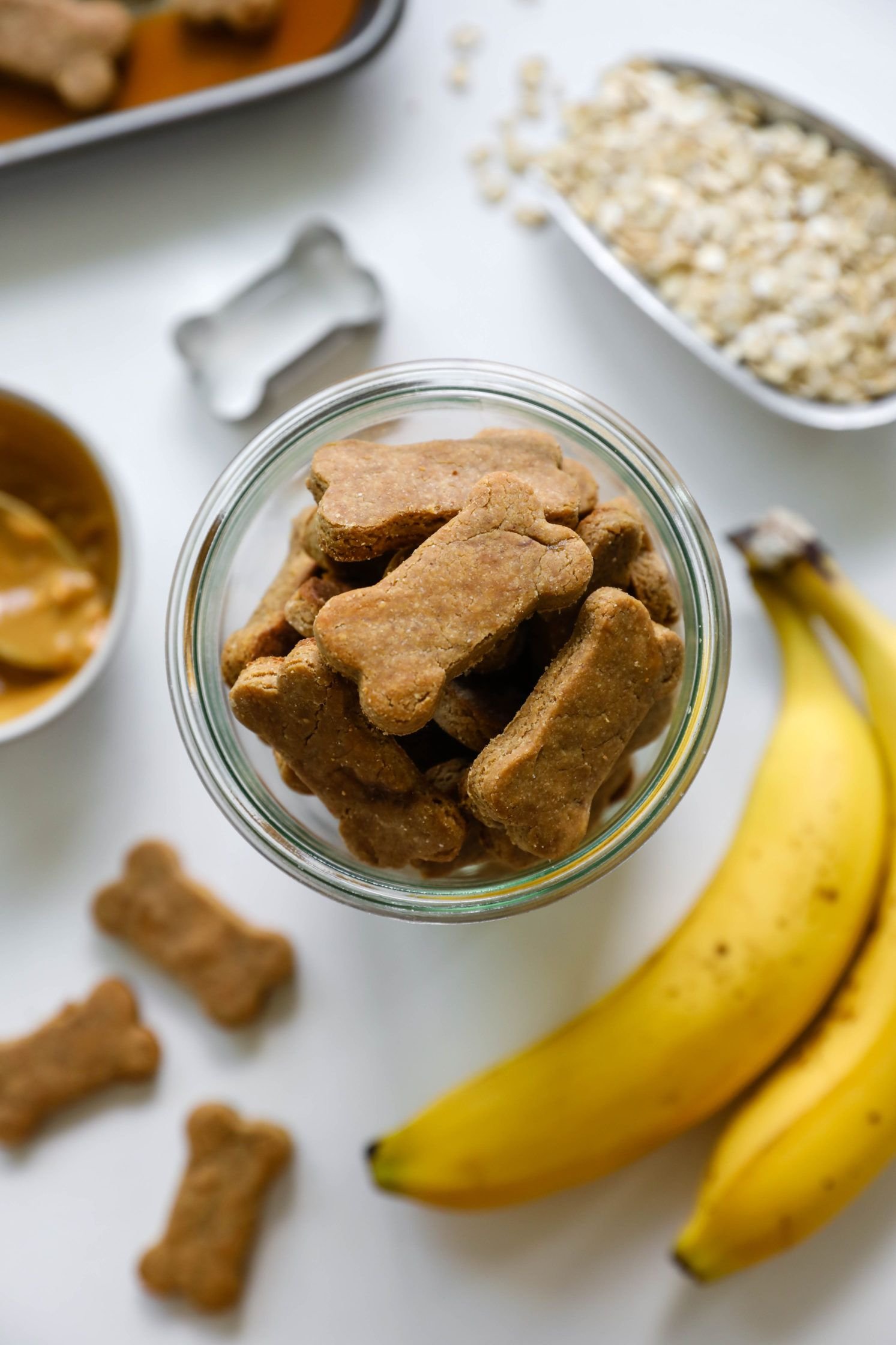 homemade dog treats for allergic dogs