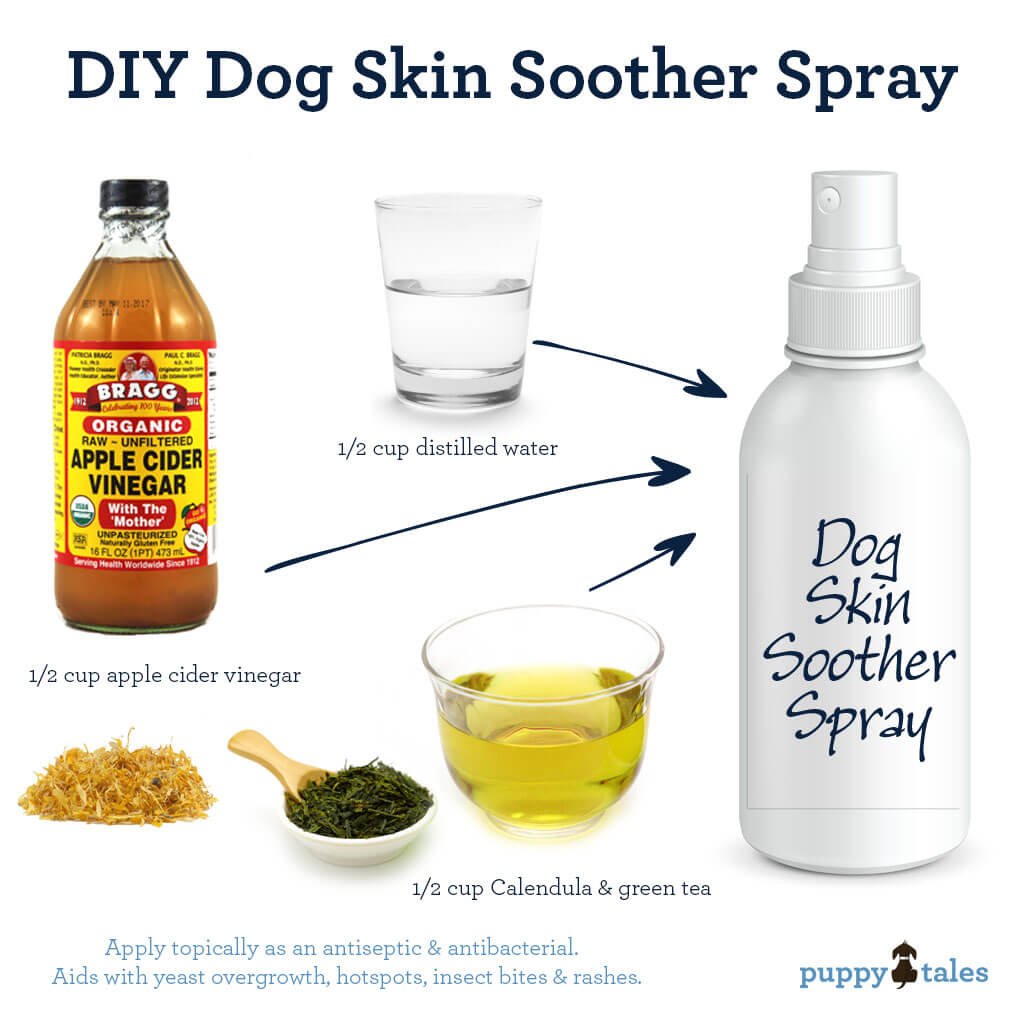 homemade dog treats for itchy skin